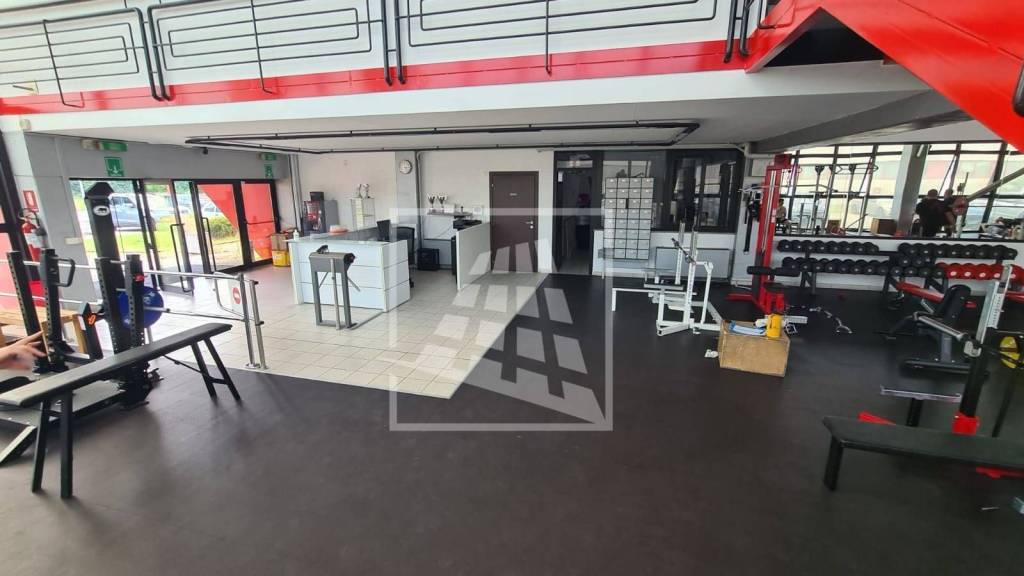 immagine annuncio 3 di 13