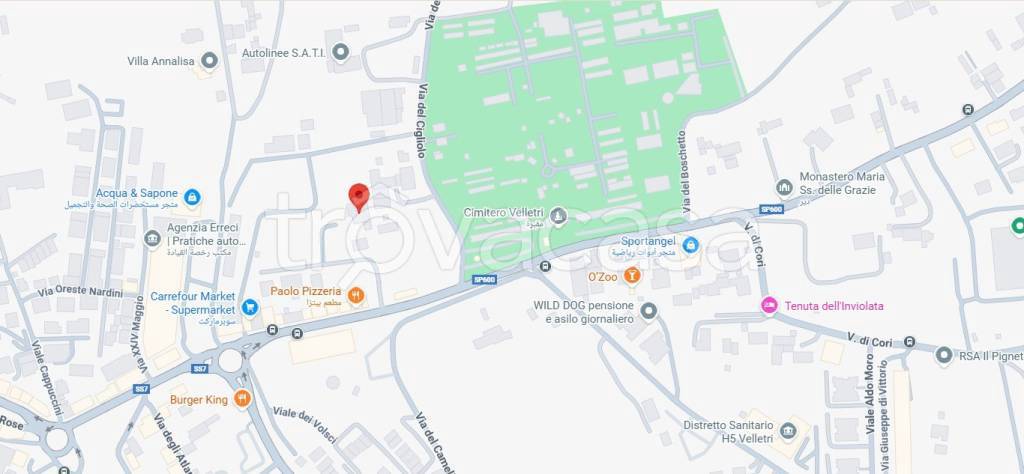 immagine annuncio 9 di 15