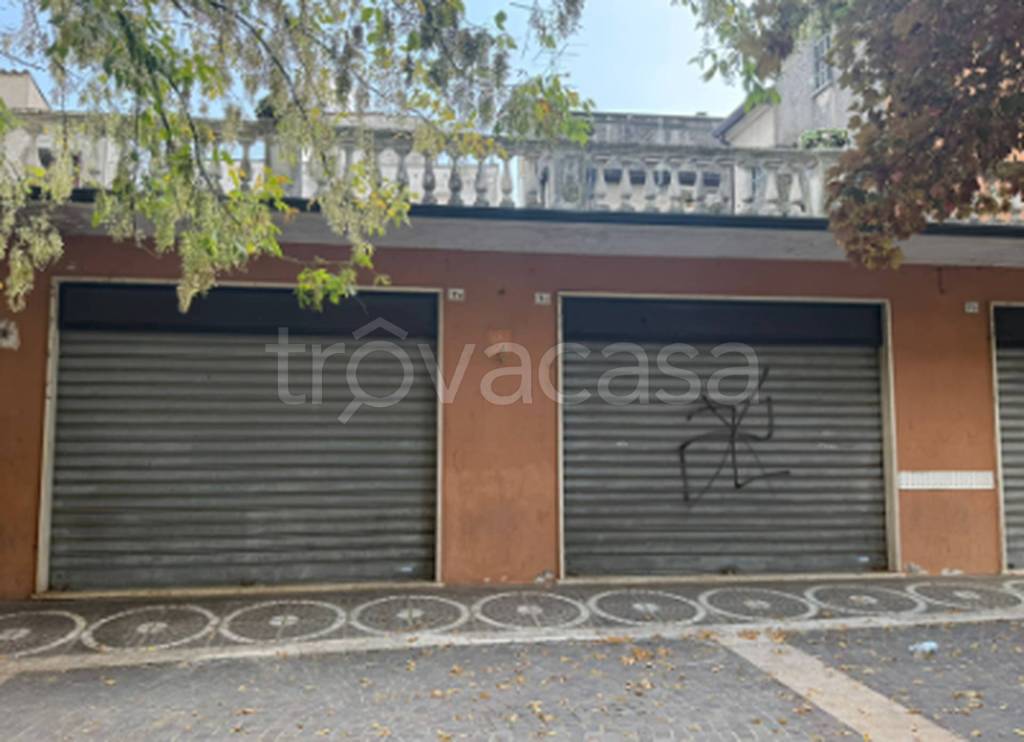 immagine annuncio 5 di 11