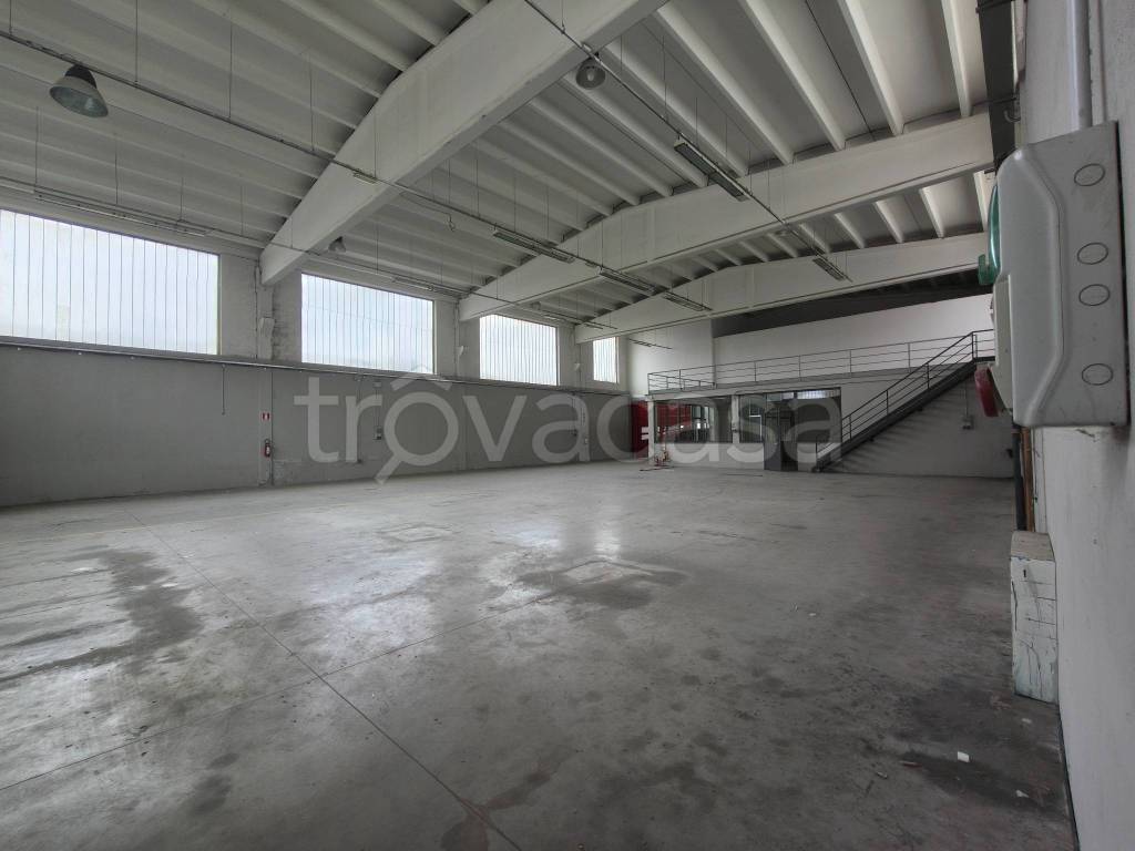 immagine annuncio 12 di 13