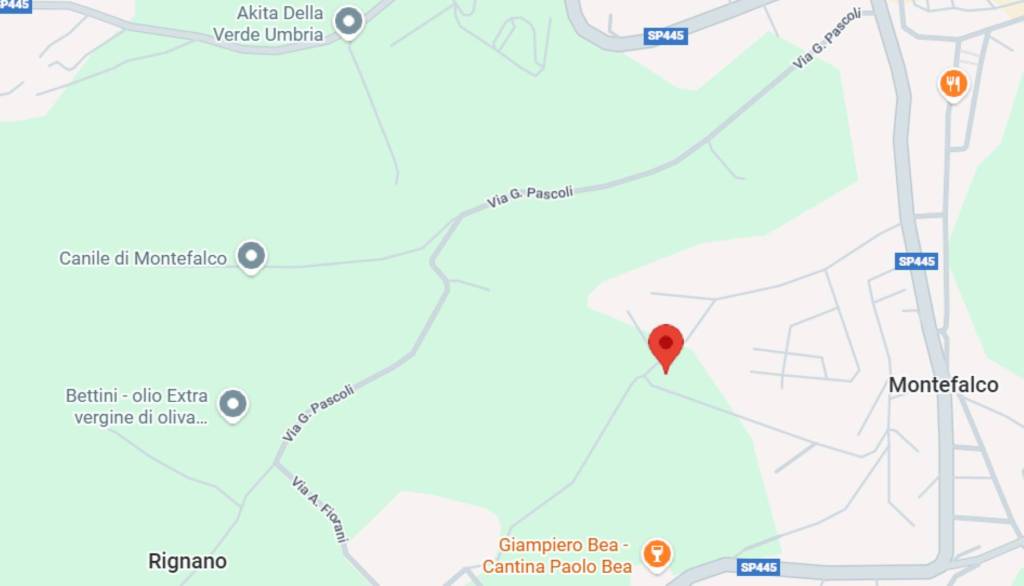 immagine annuncio 9 di 10