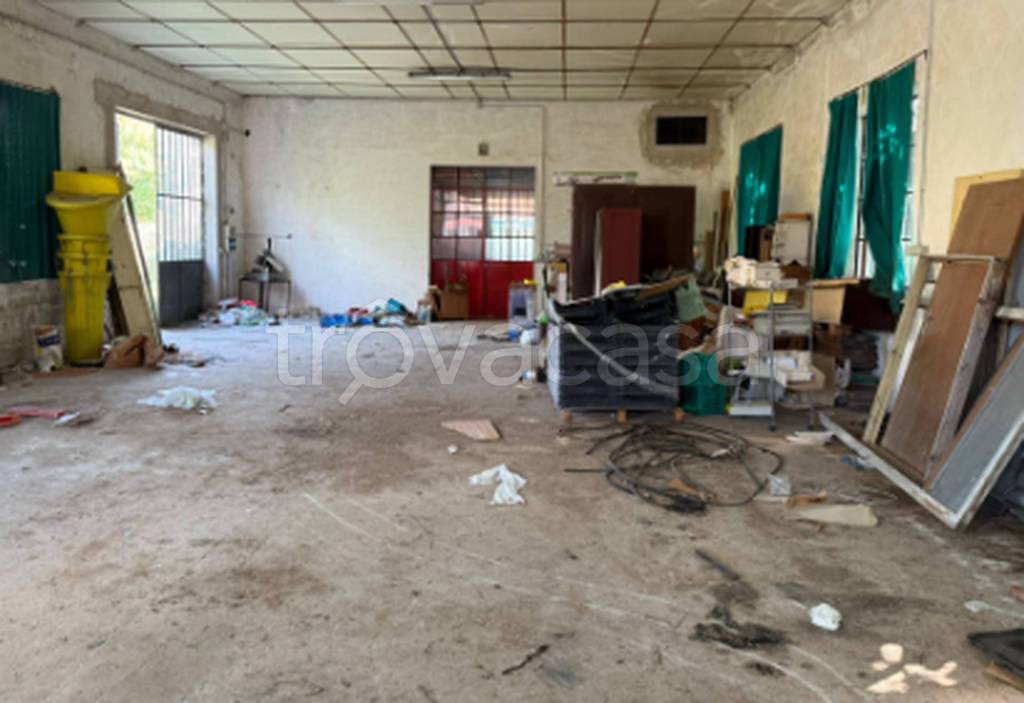 immagine annuncio 1 di 11