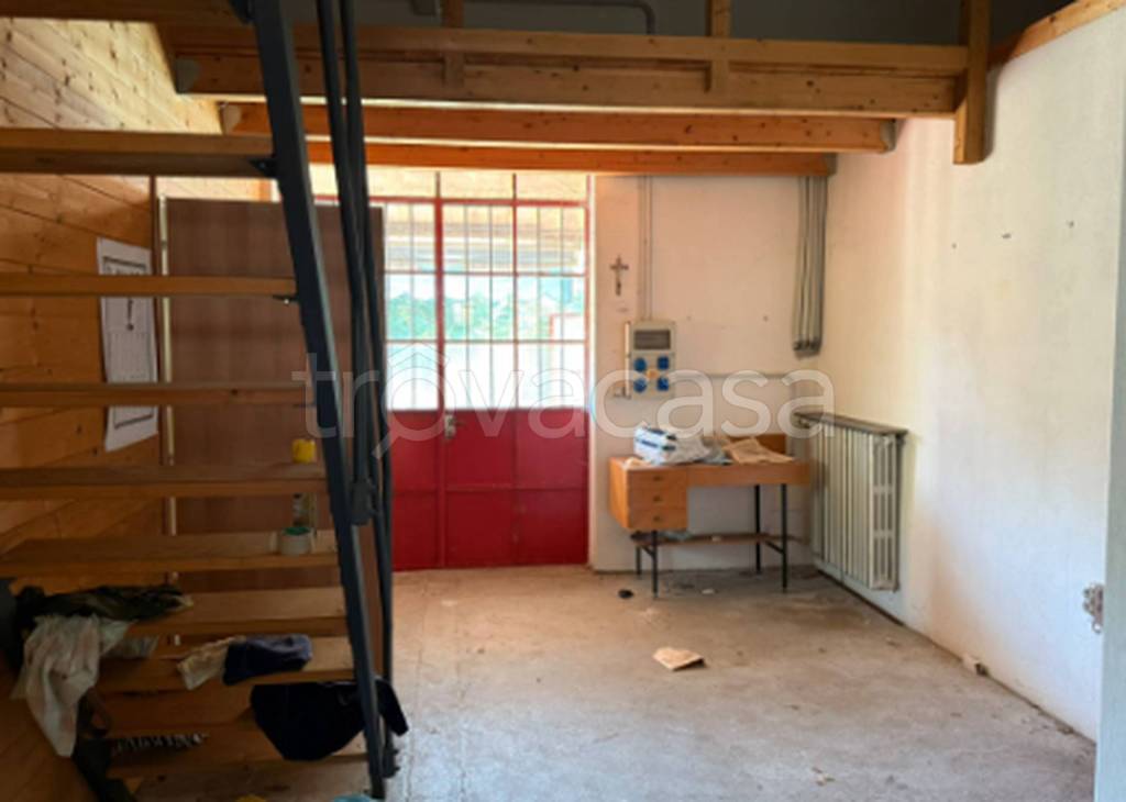 immagine annuncio 2 di 11