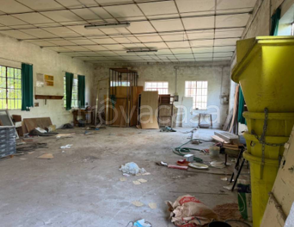 immagine annuncio 5 di 11