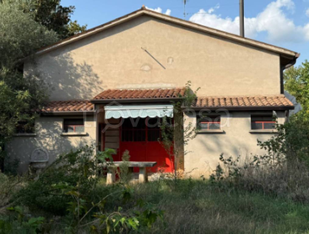 immagine annuncio 8 di 11