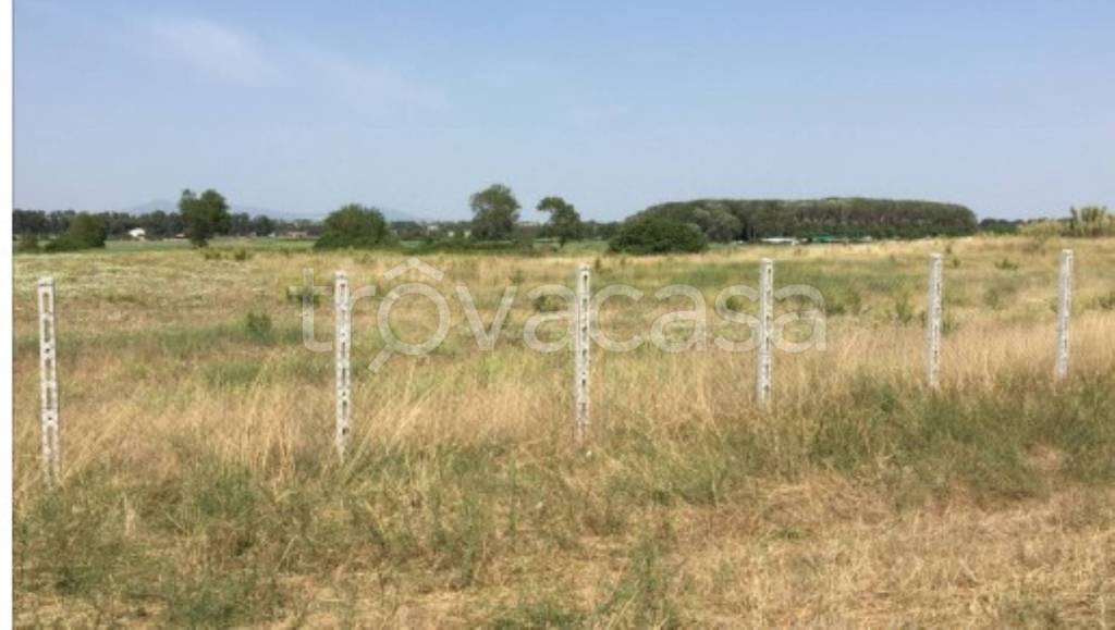 immagine annuncio 5 di 11