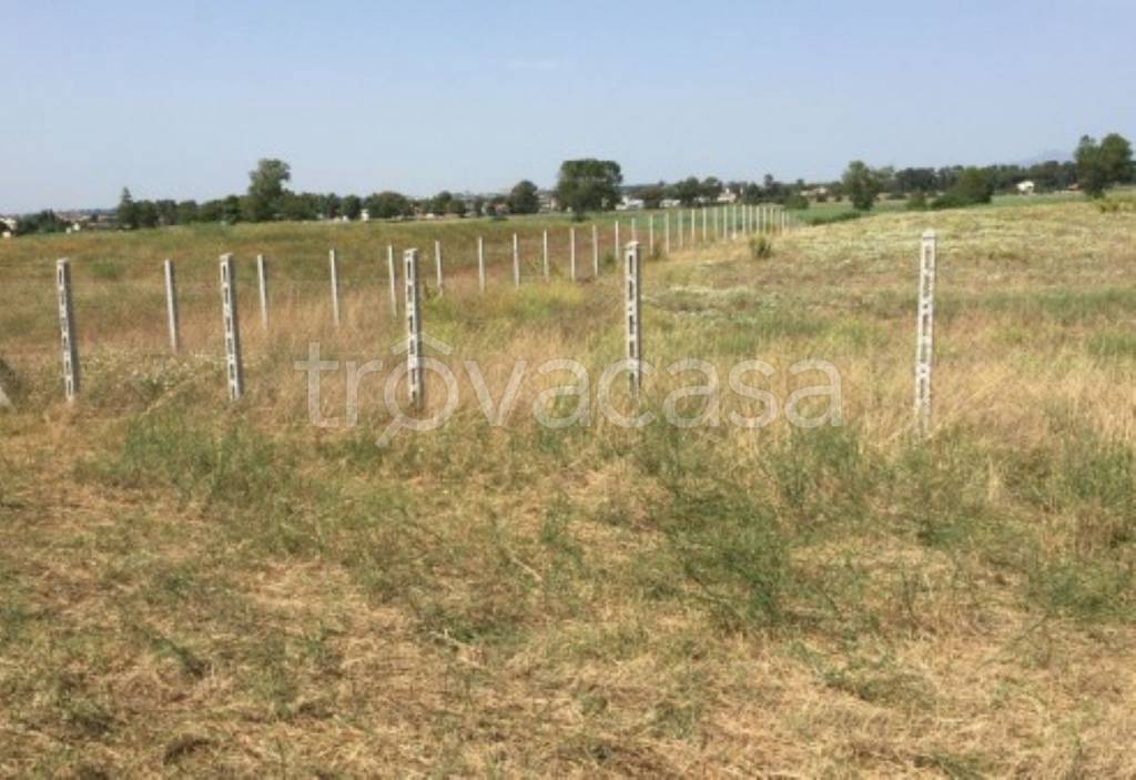 immagine annuncio 7 di 11