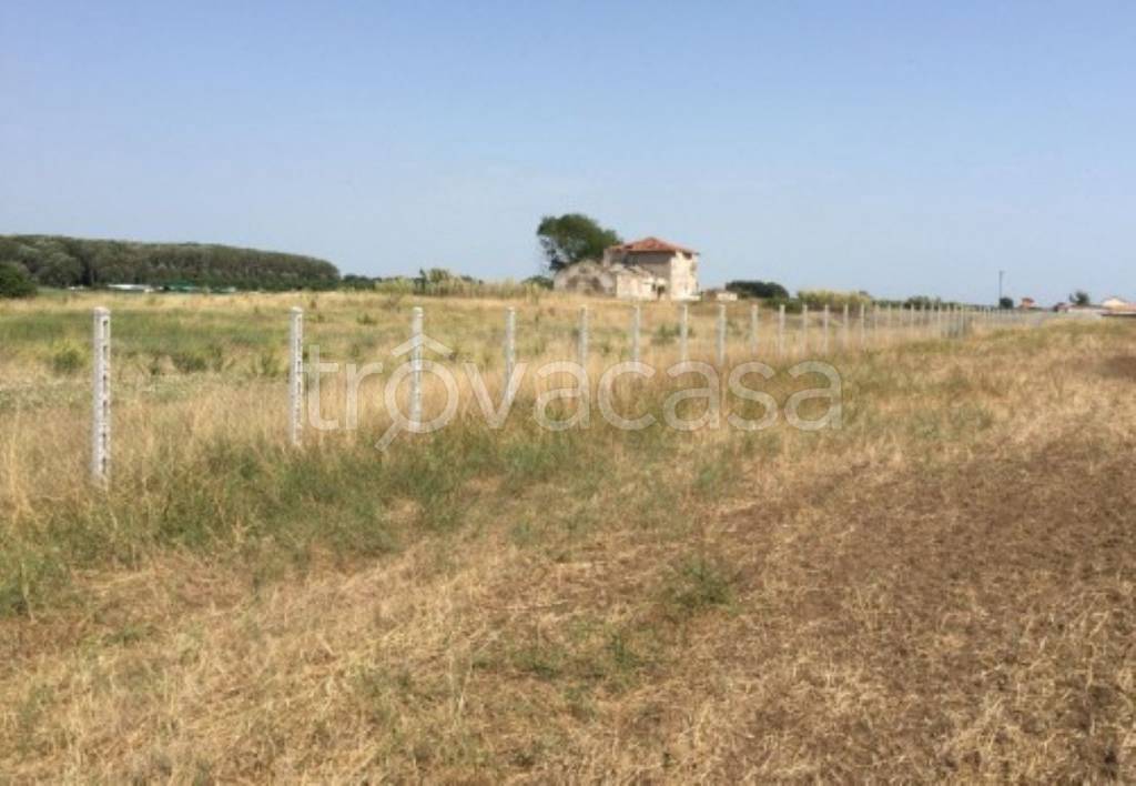 immagine annuncio 8 di 11