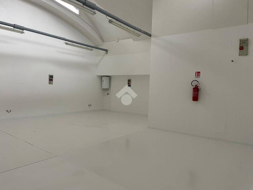 immagine annuncio 4 di 8