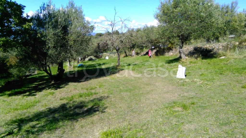 immagine annuncio 6 di 7