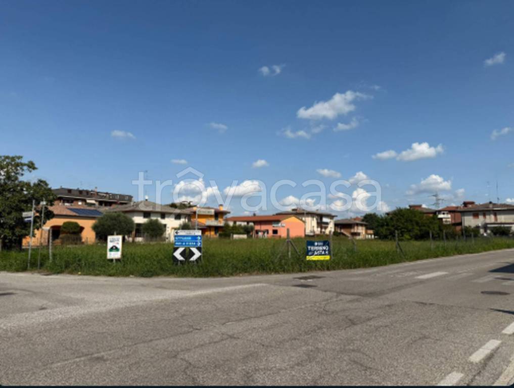 immagine annuncio 2 di 12