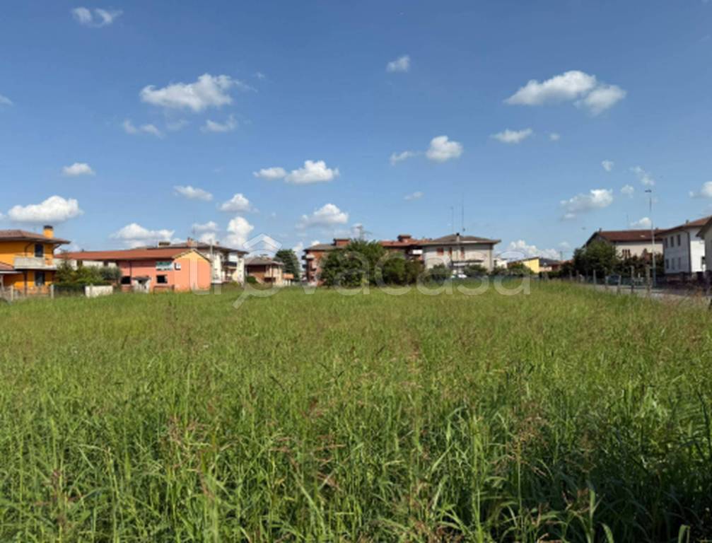 immagine annuncio 5 di 12