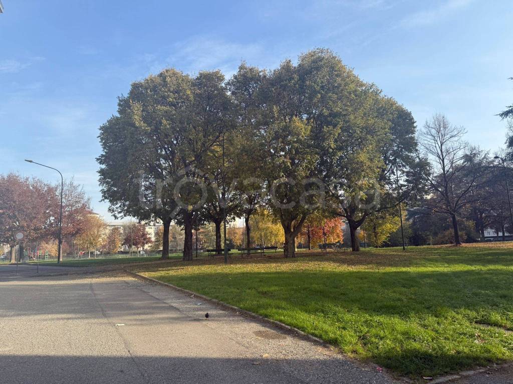 immagine annuncio 4 di 7