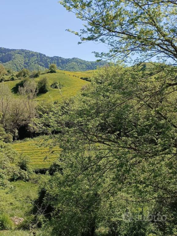 immagine annuncio 9 di 13