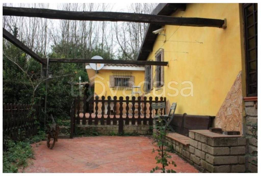 immagine annuncio 5 di 14