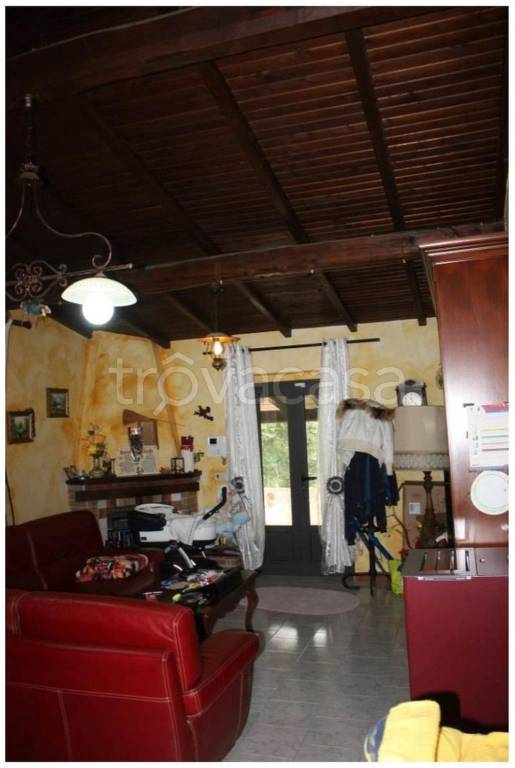 immagine annuncio 8 di 14