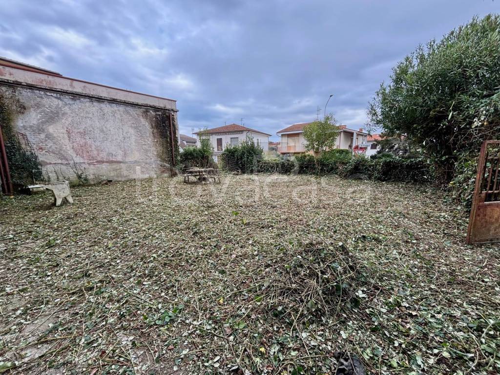 immagine annuncio 9 di 14