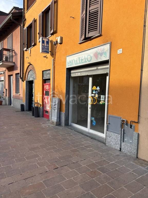 immagine annuncio 3 di 6