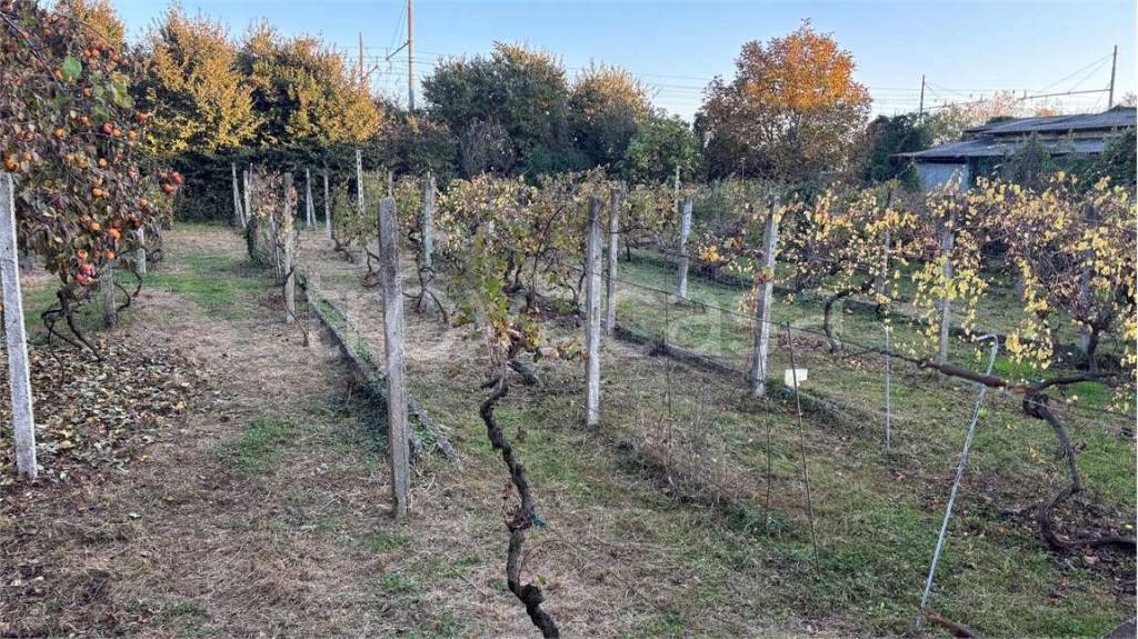 immagine annuncio 3 di 4