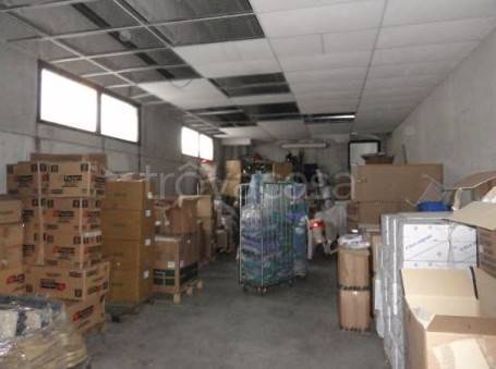 immagine annuncio 3 di 14