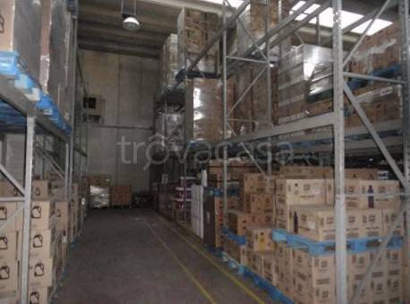 immagine annuncio 4 di 14