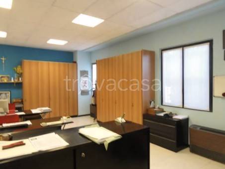 immagine annuncio 6 di 14