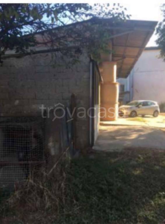 immagine annuncio 5 di 11