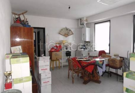 immagine annuncio 9 di 14