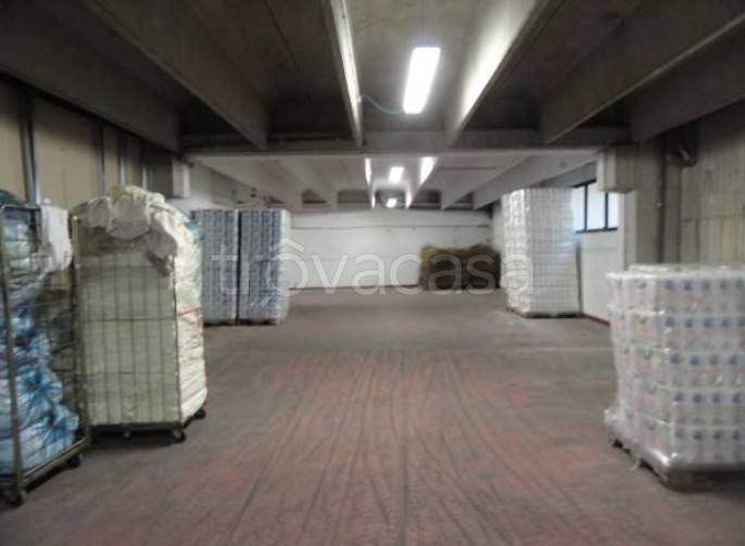 immagine annuncio 2 di 7