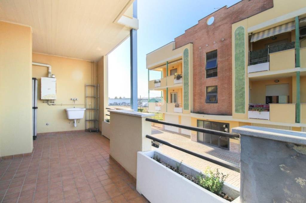 immagine annuncio 10 di 15