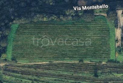 immagine annuncio 1 di 2