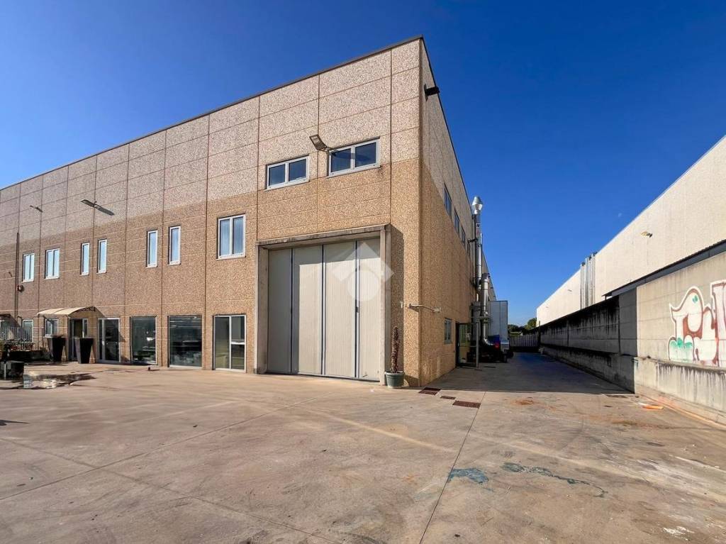 immagine annuncio 7 di 15