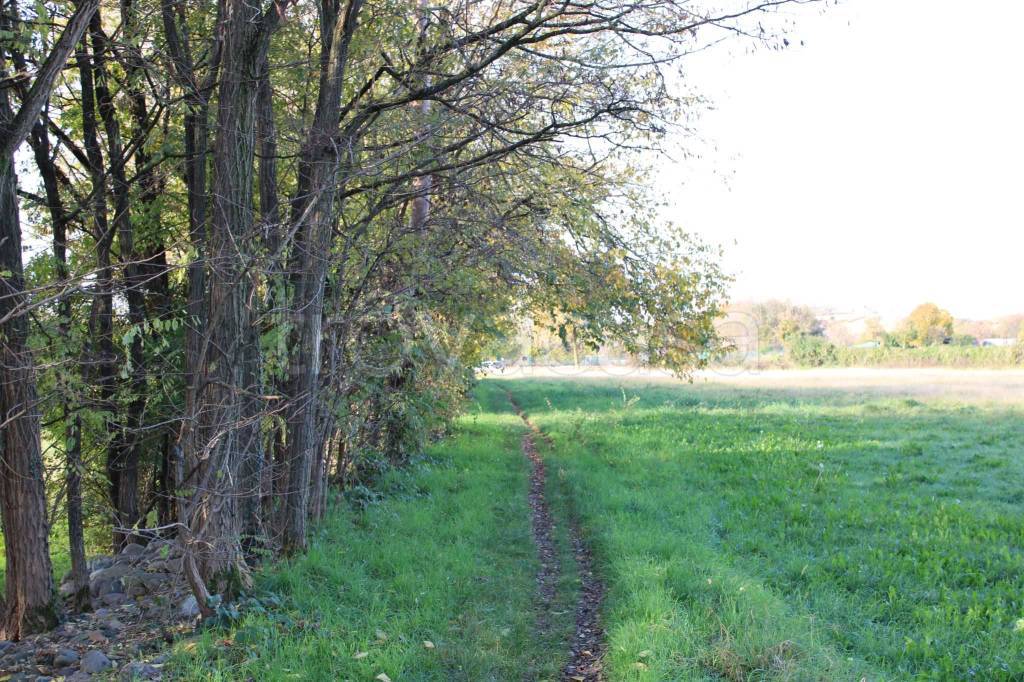 immagine annuncio 2 di 13