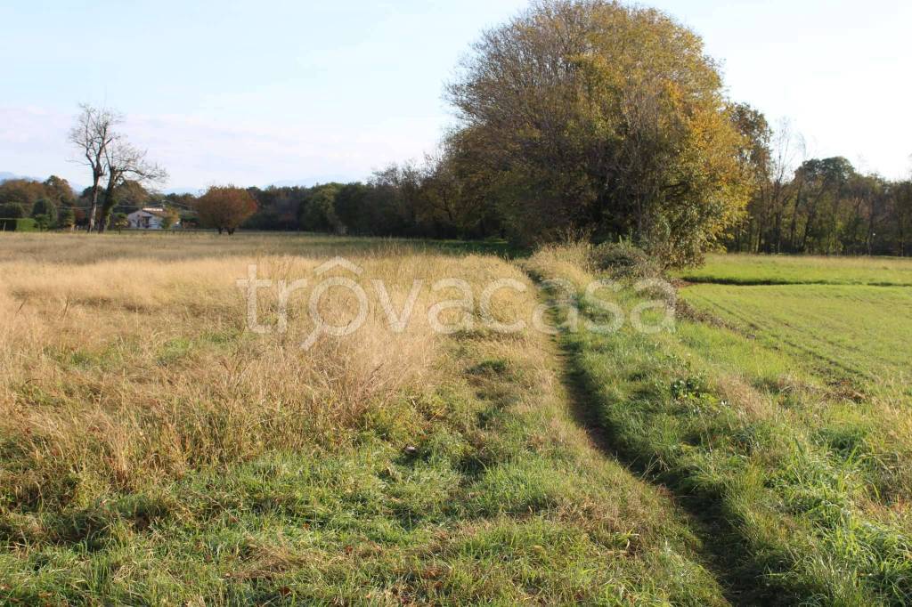 immagine annuncio 4 di 13