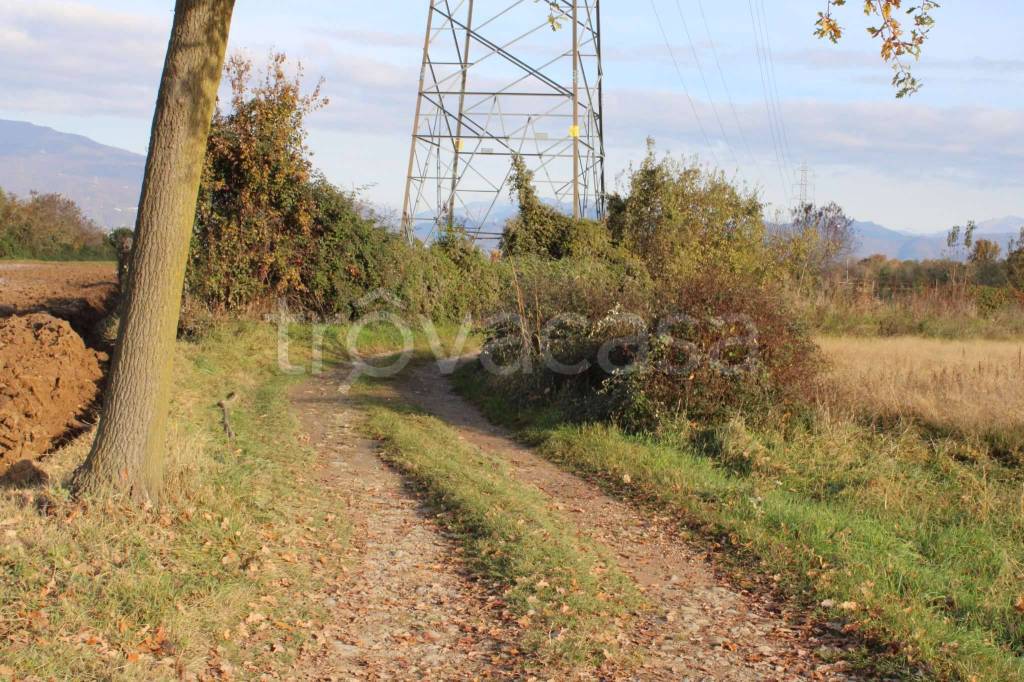 immagine annuncio 5 di 13