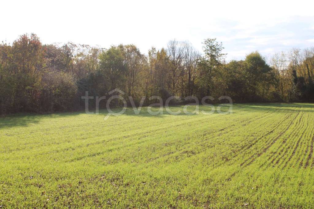 immagine annuncio 6 di 13