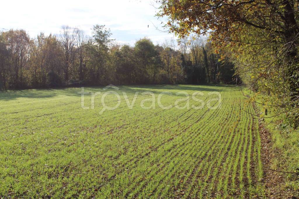 immagine annuncio 9 di 13