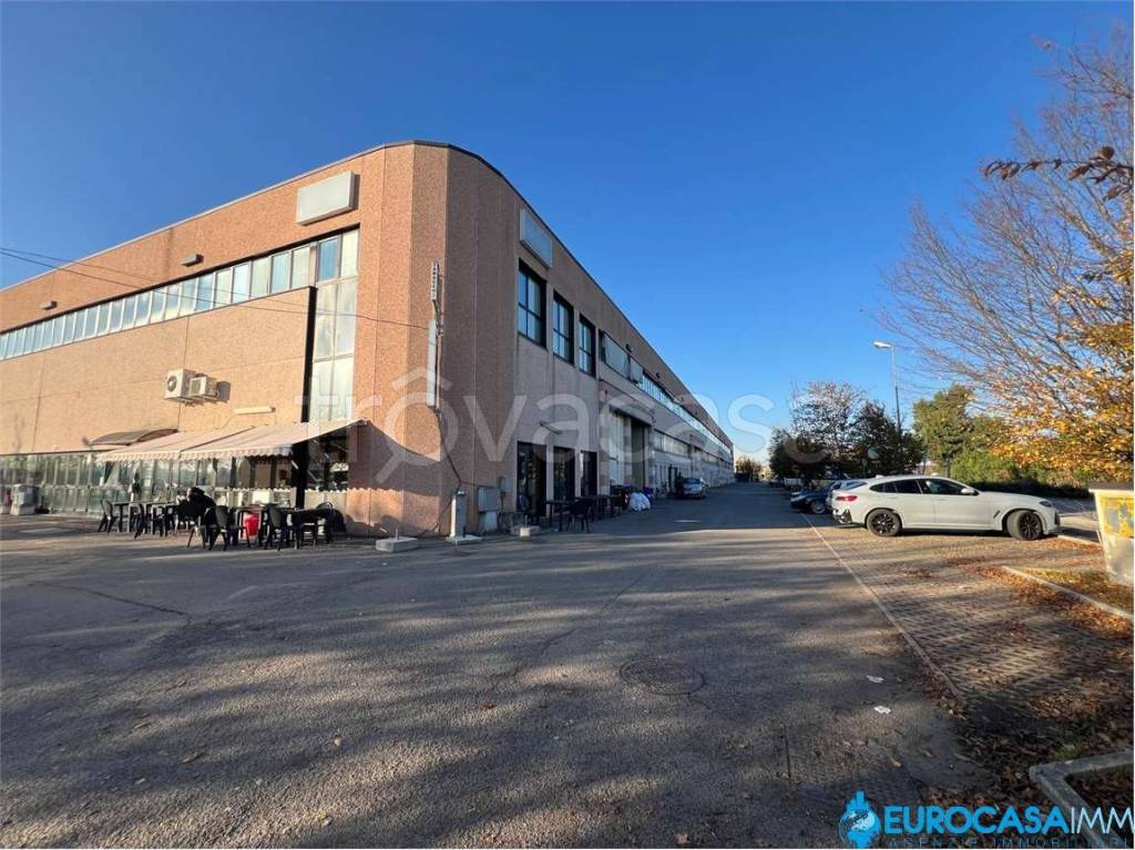 immagine annuncio 7 di 9