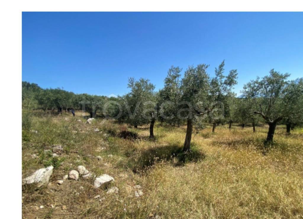 immagine annuncio 7 di 13