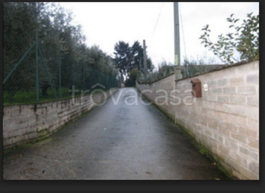 immagine annuncio 7 di 12