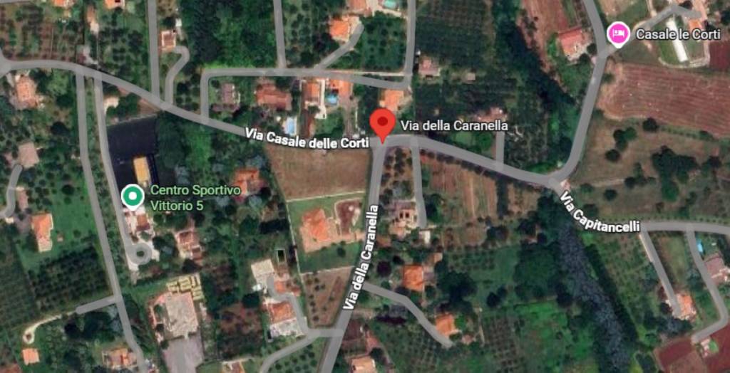 immagine annuncio 9 di 12