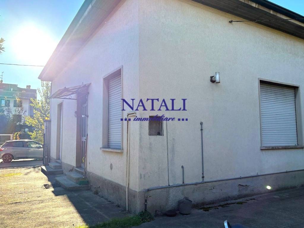 immagine annuncio 12 di 13