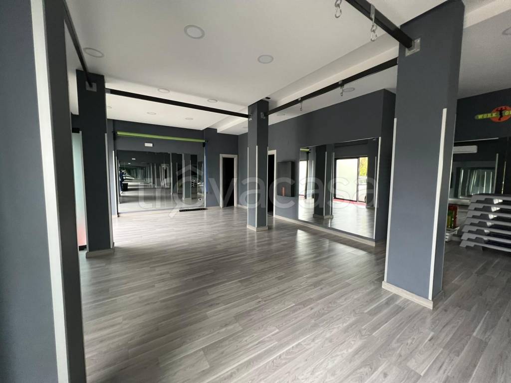 immagine annuncio 3 di 9