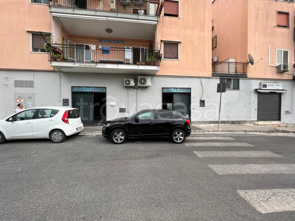 immagine annuncio 5 di 9