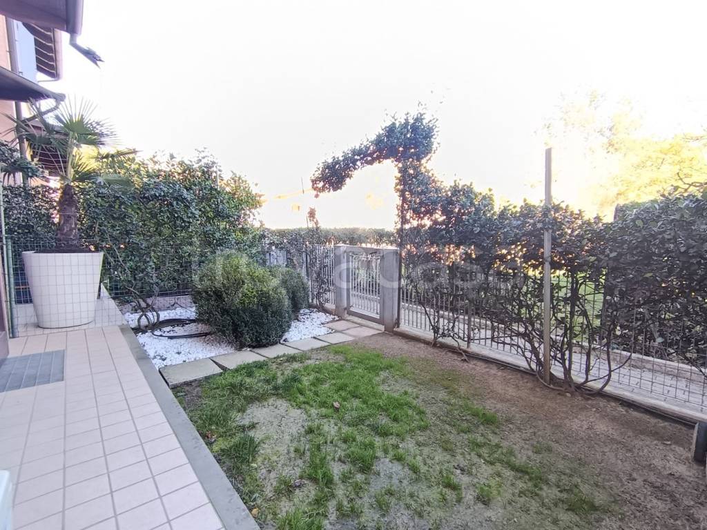 immagine annuncio 2 di 11