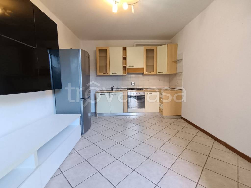 immagine annuncio 3 di 11