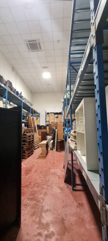 immagine annuncio 2 di 14