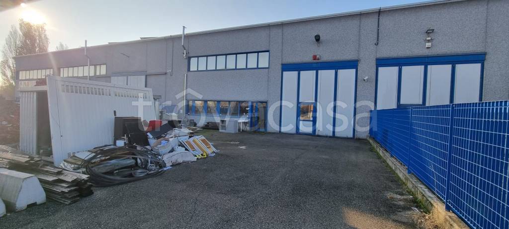 immagine annuncio 3 di 14