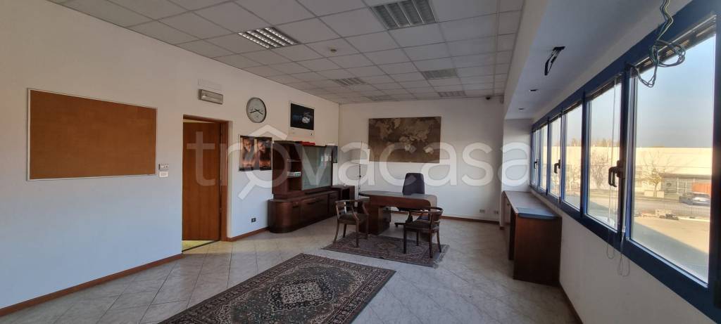 immagine annuncio 10 di 14