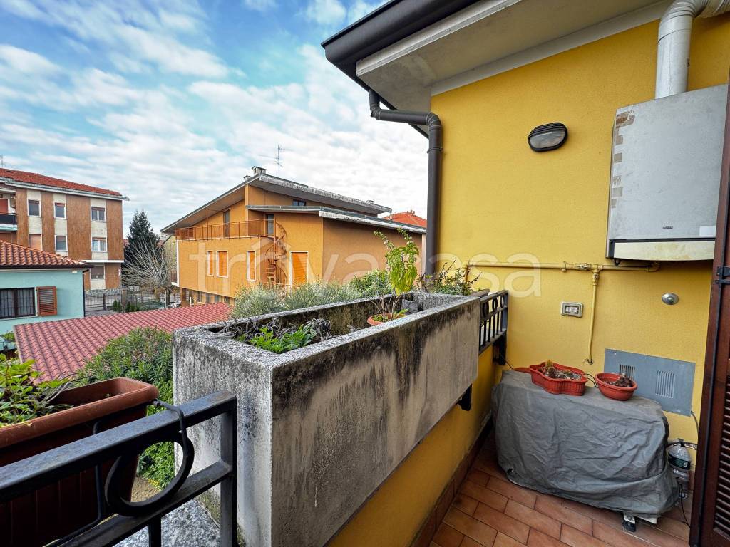 immagine annuncio 1 di 12